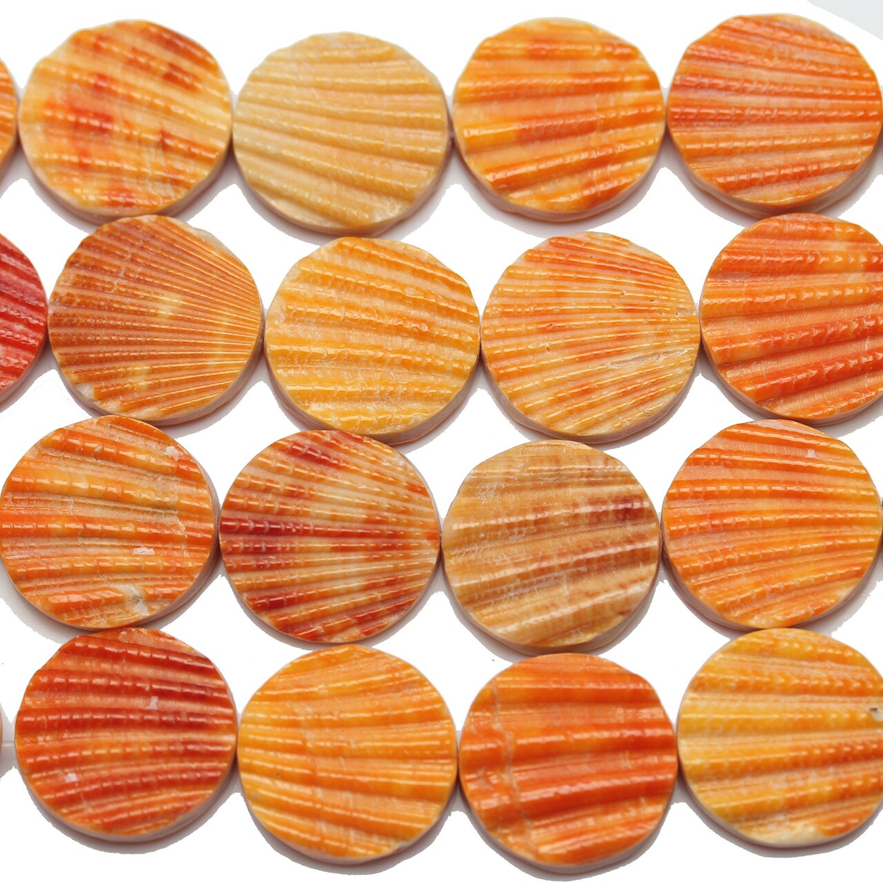 Philippine Orange Pectin Nobilis Shell Round Lentil 20mm Beads